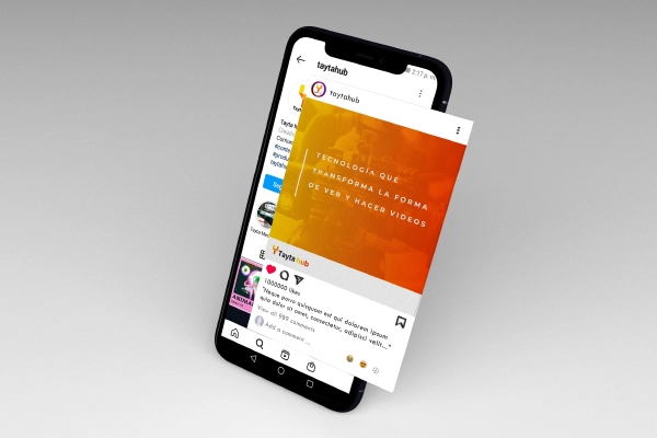 esbozo_portafolio_branding_6 copia